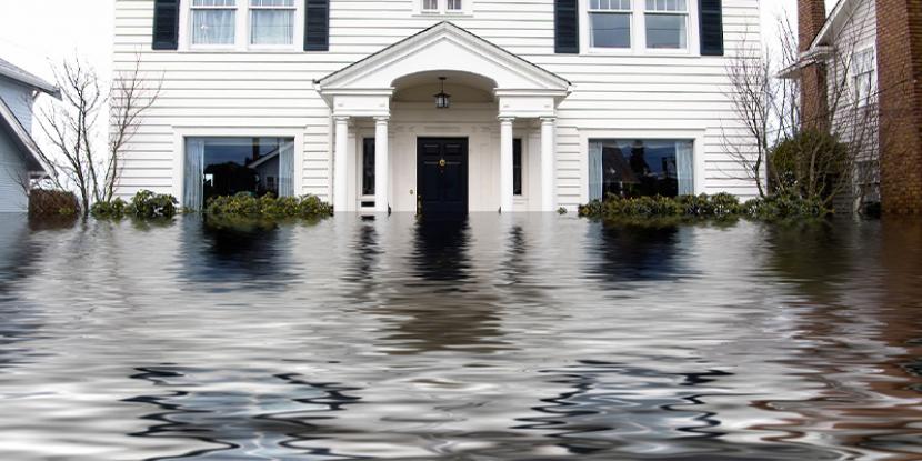 5 Ways Flood Damage Can Affect Your Home or Business | Rainbow  International Blog